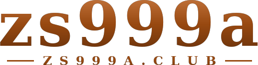 zs999a logo
